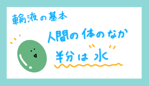 【輸液の基本】人間の体のなか、半分は水